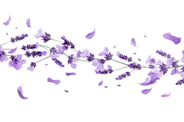 purple floral spring background with flowers