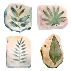 Fossil of plant in rock . Watercolor paint design . Illustration .