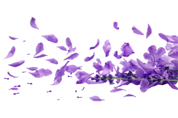 purpple flowers flying flew isolated on a transparent background
