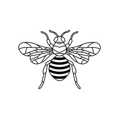Bee outline black icon. Clipart image isolated on white background. Graphic illustration of insect silhouette vector drawing for honey products, package, design.