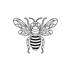 Bee outline black icon. Clipart image isolated on white background. Graphic illustration of insect silhouette vector drawing for honey products, package, design.