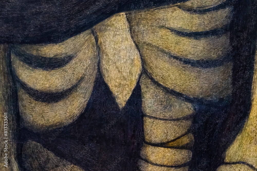 Poster the image is a drawing of a skeleton with its ribs and spine showing