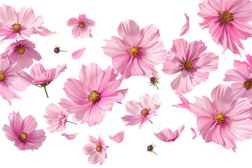 Pink and white floral pattern with seamless texture, perfect for summer wallpaper and decoration