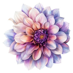 Obraz premium Dahlia flower in watercolor style isolated on transparent background