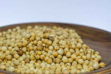 portrait of coriander used for seasoning 