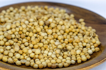 portrait of coriander used for seasoning 