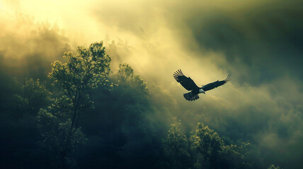 Fototapeta premium flying