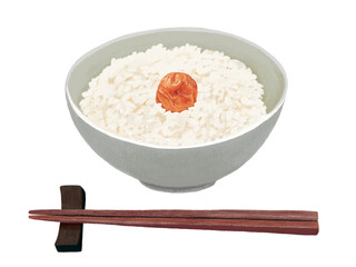 梅干しご飯