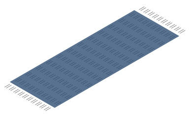 Interior: tasseled rug, isometric illustration