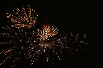 fireworks in the night sky