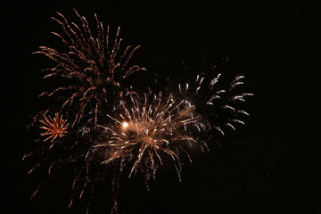 Fototapeta premium fireworks in the night sky