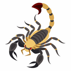 Scorpion vector illustration 