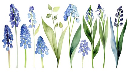 flower and leaves with watercolor assets on a white background,flower and nature motifs