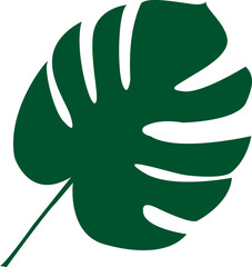 Monstera icon
