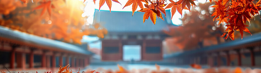 Panoramic Autumn Scenery in Japanese Courtyard