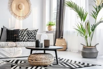 Minimalist living room composition with zen elements in a Scandinavian apartment