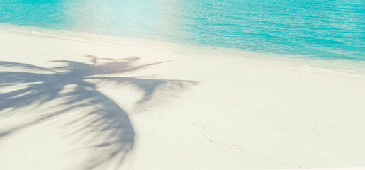 Palm leaf shadow on smooth sand. Beach banner background.