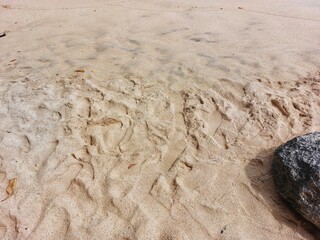 white sand beach with footprints
