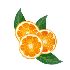 Orange fruit, mandarine slice with green leafs watercolor composition isolated on white. High quality hand drawn art for food design, packages, restaurant menu, natural organic food, logo and decor