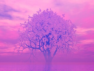 幻想的な桜と空