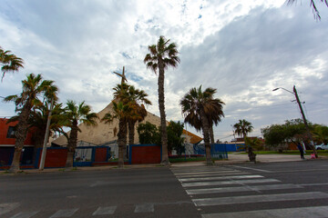 Obraz premium palm trees in the city with the catholic church in Arica city