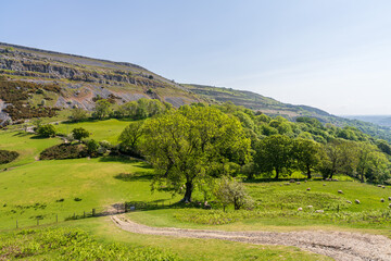 Denbighshire landscape near Castell Dinas Bran, Wales, UK