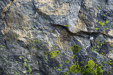 Obraz premium Ancient stone wall, textured by time and nature, with moss and lichen growing on its rough surface