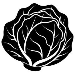 Cabbage vector icon silhouette illustration art