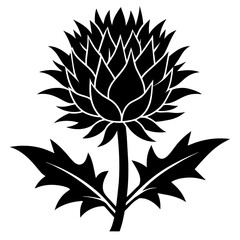 Cardoon vector art silhouette illustration