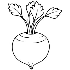 Celeriac vector art illustration silhouette line 