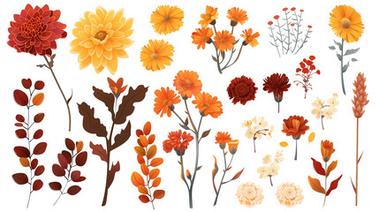 Obraz premium Set of autumn floral elements including chrysanthemums, marigolds, and asters, isolated on transparent background