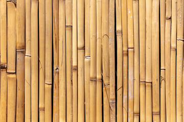 Dry bamboo fence as an abstract background. Texture