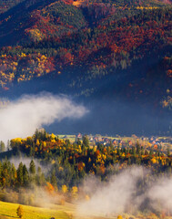 stunning autumn scene in mountains, autumn morning dawn, nature colorful background, Carpathians mountains, Ukraine, Europe