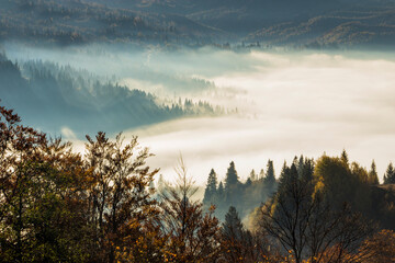 stunning autumn scene in mountains, autumn morning dawn, nature colorful background, Carpathians...