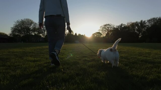 Woman walking the dog in the park. travel concept. slow motion