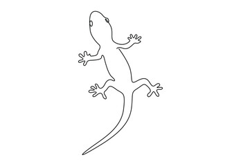 Gecko continuous one line drawing. Isolated on white background vector illustration