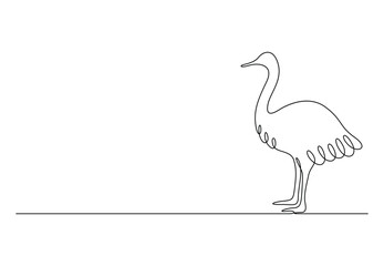 Ostrich continuous one line drawing. Isolated on white background vector illustration