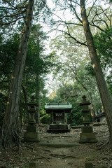 日本の風景、ひっそりと森の中に祀ら得ている祠