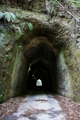 人工的且つ神秘的な暗い手掘りトンネルの入り口と出口