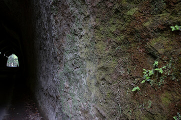 人工的且つ神秘的な手掘りトンネルの手掘り跡がつく岩肌のアップ