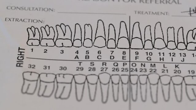 Macro of referral form for patient from dentist to orthodontia