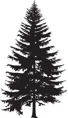 Pine tree silhouettes. Evergreen forest firs and spruces black shapes, wild nature trees templates. Vector illustration woodland trees set on white background