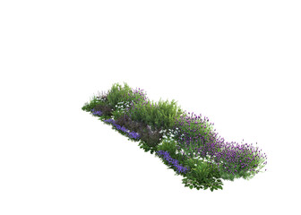3d rendering of flowers, plants and flowers. Mediterranean garden