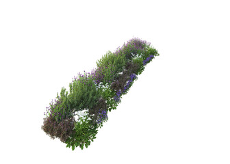 3d rendering of flowers, plants and flowers. Mediterranean garden