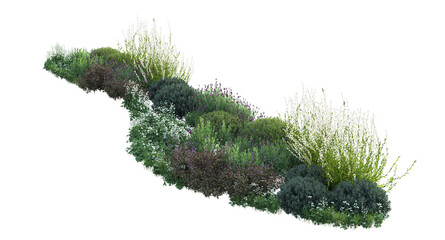 3d rendering of flowers, plants and flowers. Mediterranean garden