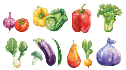 A watercolor illustration of an assortment of vegetables on white background, in the style cute and quirky, illustration clipart with isolated white backgrounds. png.