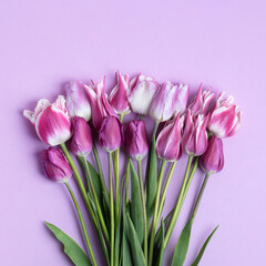 Spring composition on purple background of flowers tulips with space for text. Happy Mother's Day greeting card, happy Valentine's Day, March 8, happy birthday