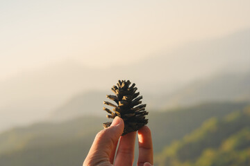 nature traveling with hand hold pine cones and see sunrise with layer of mountain