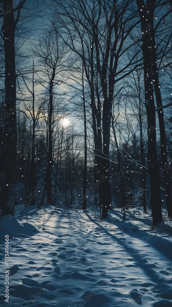 Poster A snowy forest with a moon in the sky. The moon is shining brightly, casting a soft glow on the snow. The scene is peaceful and serene, with the snow-covered trees creating a sense of calmness
