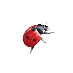 Ladybug clipart, isolated illustration. Beautiful insect on a white background, watercolor painted by hand art for wallpaper. Cartoon cute animal. Watercolour print, hand drawn,red lady bug black dots